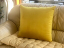 沁汐靠枕天鹅绒轻奢超柔ins靠垫套简约大靠背垫客厅丝绒纯色沙发抱枕 姜黄色 65cm*65cm 含枕芯 实拍图