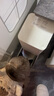 INSTINCT百利猫罐头高蛋白鸡无谷鸡补充营养猫咪幼猫猫粮成猫罐头 高蛋白鸡肉罐头 156g 1罐 实拍图