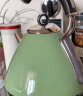 摩飞电器（Morphyrichards） 家用电热水壶进口304不锈钢大容量烧水壶 MR7456A MR7456A绿色1.5L 实拍图