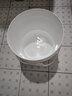 佳叶食品级塑料桶密封桶小水桶透明桶带盖酱料桶家用洗车洗衣桶胶桶 10L白色 实拍图