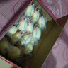 港荣蒸蛋糕椰香800g面包零食早餐饼干纯蛋糕中西式糕点心甜品礼品盒物 实拍图