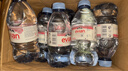 依云（evian）天然矿泉水法国原装进口evian依云水弱碱性饮用水瓶装水 英文版-330ml*24瓶 实拍图