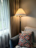 Paulmann P柏曼落地灯Yves 胡桃木杆暖光灯客厅卧室氛围立式灯具PMT200140 晒单实拍图
