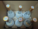 汾酒 红盖玻汾 清香型白酒 42度 475mL*6瓶 整箱非原箱 实拍图