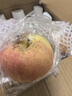 城南堡花山西运城红富士苹果2025年新果万荣冰糖心苹果山西特产新鲜水果 净重4.5斤【臻选好果】 实拍图