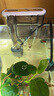 森森（SUNSUN）鱼缸过滤器壁挂式外置过滤泵水族箱过滤器HBL HBL-302 3W 实拍图