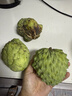 采缇（CAITI）现货大目凤梨释迦果5斤 新鲜番荔枝佛头果水果孕妇整箱 精选二斤大果（3-4个） 实拍图