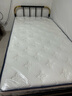 天坛家具铁艺床经典单双人钢木铁床现代环保简约小户型黑白色铁艺婚床 黑床+21cm弹簧床垫 1.0*1.9m 实拍图