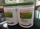 安利（Amway）纽崔莱多种植物蛋白质粉450g增强免疫力孕妇中老年儿童营养品澳版 实拍图
