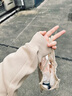 蕉内（Bananain）【王一博同款】非常服503Relax女士家居卫衣短外套男24秋冬季新款 【王一博同款】杏卡其 2XL 实拍图