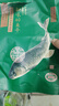 知味观知味醉鱼干 熟食腊卤味 中华老字号杭州特产美食下酒菜200g 实拍图