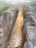 北海湾 新鲜黄花鱼 黄鱼 活鱼整条速冻 冷冻海鲜水产鱼类非三去特大生鲜 【300-400g/条】 共4条 实拍图