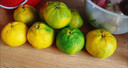 早熟新鲜椪柑丑橘子应季新鲜水果酸甜多汁整箱包邮 1斤装 实拍图