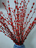 开时果 银柳鲜枝干花年宵花卉 红色真花福桶银柳水培植物室内装饰鲜花 【60cm】银柳40枝（喜庆红） 实拍图
