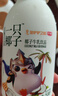光明 一只椰子 牛乳饮品牛奶 250ml*10  送礼佳品 低温牛乳饮品 礼品 实拍图
