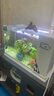 长锐侧滤鱼缸桌面办公室免换水生态水草超白水族箱 K400造景版【长41 宽22 高29】 实拍图