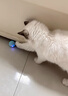 灵宠物语猫玩具USB充电自动逗猫球猫咪玩具自嗨解闷逗猫棒小猫电动溜溜球 实拍图