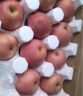 农仙味新疆红富士苹果新鲜水果时令节日礼盒送礼冰糖心苹果整箱 带箱10斤净重8.5斤大果 80-90mm 晒单实拍图