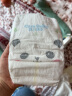 凯儿得乐care daily萌趣纸尿裤S70片(4-8kg)小码婴儿尿不湿包装 实拍图