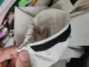 Wassup Sohot冲锋衣男女春秋季户外夹克潮牌防风情侣外套 白色 5XL 实拍图