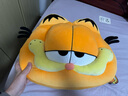 爱绒艺正版加菲猫大电影同款公仔毛绒玩具橘色Garfield胖猫咪玩偶礼物  40CM加菲猫头型抱枕 正版授权 防伪镭射标 实拍图