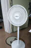 先科（SAST）电风扇/落地扇/台式风扇/台地两用/家用风扇/15叶大风量风扇  FD-269 晒单实拍图