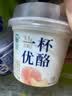 伊利老酸奶138g 风味发酵乳 益生菌酸牛奶生牛乳低温原味宫酪酸奶 老酸奶138gx6杯+白桃味100gx6杯 实拍图