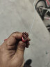 东一江国标电线RV10 16 25 35平方单芯多股铜芯特软电线电瓶汽车连接线 国标 细软线 35平方 红色 1米 实拍图
