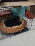 瓜洲牧猫窝狗窝冬季保暖加厚椭圆窝封闭式四季通用大号宠物窝冬天小型犬 优质棉【加高加厚】咖啡色 XL-超大型85*65【推荐50斤以内】 实拍图