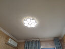 灵翔之光卧室灯吸顶灯无极遥控led灯具温馨简约现代薄家用房间灯2025新款 花朵 直径50cm  36w无极 实拍图