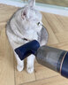 PEITE PET猫毛清理器宠物电动吸毛器猫毛狗毛吸尘器无线沙发床上除猫毛神器 高配款莫兰特蓝+充电底座 实拍图