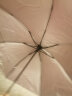 【⭐雨季】黑胶手动折叠雨伞男女晴雨伞两用防晒遮阳太阳伞超大号 7股银胶手动伞（颜色随机）A款 黑色 晒单实拍图