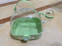 宠尚天 卡扣绿色仓鼠笼子大号28*21*30cm+仓鼠花海浴沙900g 实拍图