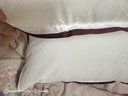 水星家纺枕头枕芯酒店枕头护颈枕头芯家用一对纯棉抗菌可水洗中枕48x74cm 实拍图