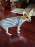 ISPET狗狗衣服宠物泰迪猫咪衣服金毛大中小型犬薄款四季通用&新疆棉 黑色-部分码数升级两袖 3XL 建议21-30斤 实拍图