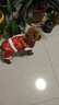 华元宠具（hoopet）小狗狗过年唐装喜庆衣服小型犬四脚泰迪比熊吉娃娃宠物秋冬季服装 双层加厚四脚唐装 M:参考体重4-7斤 实拍图