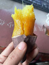 卉悦玛莎莉红薯红毛正宗板栗黄心东北辽宁康平地瓜甘芯新鲜蜜薯山芋 5斤精选小果（果较小建议蒸） 1-2两（25年新薯） 实拍图