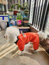 SLPC狗狗衣服冬天保暖中小型犬加厚四脚狗棉衣泰迪柯基小狗幼犬冲锋衣 橙 XL（适合约12-15斤） 实拍图