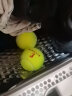 ENPEX乐士网球高弹耐磨比赛训练用网球塑通三粒A16 实拍图