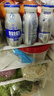 蒙牛冠益乳发酵乳/早八吨吨益生菌酸奶发酵奶增强免疫力聚餐休闲饮品 100g*24瓶 冠益乳发酵菌（整箱） 实拍图