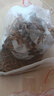 KERRY面包虫活体饲料黄粉虫鸟鱼龟蜥蜴金龙鱼鬃狮蝎子守宫食物幼体幼虫 700条+小包麦麸（鲜活） 实拍图