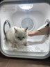 霍曼宠物智能烘干箱 猫咪烘干机狗狗全自动吹干箱底部出风循环换气 实拍图
