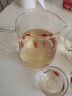 天喜（TIANXI）泡茶壶大容量玻璃茶壶茶漏加厚茶具茶水分离壶凉水壶850ml 晒单实拍图
