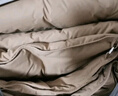 斯诺曼舒芯90%白鸭绒羽绒被芯 四季子母被子220*240cm充270g+590g卡其色 实拍图