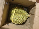 京鲜生 进口金枕头榴莲 净重5-6斤 1个装  鲜果 生鲜 新鲜水果 实拍图