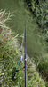 达亿瓦（DAIWA）23新款LBT C 矶 CS Q 手海两用竿远投滑漂矶竿斜导环矶钓竿 4-53LR（4号-5.3米 斜导环） 实拍图