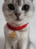 柒哦猫咪项圈长命锁新年装饰编织猫围脖项链宠物脖子配饰脖圈铃铛饰品 长命锁-有声【安康好运】 猫狗通用（17-32cm）可调节项圈 实拍图