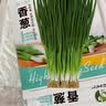 昂启蔬菜种子四季播盆栽阳台庭院香菜生菜菠菜小葱简单秋易种籽孑大全 四季小香葱 约700粒 实拍图