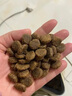愛肯拿（ACANA）狗粮 全价通用 成犬幼犬经典鸡肉草原天然犬粮6kg 最近效期26/9 实拍图