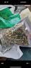 蕊鲜生兔粮幼成年宠物兔子饲料防球虫除臭美毛益肠磨牙荷兰猪豚鼠饲料 兔粮5斤 实拍图
